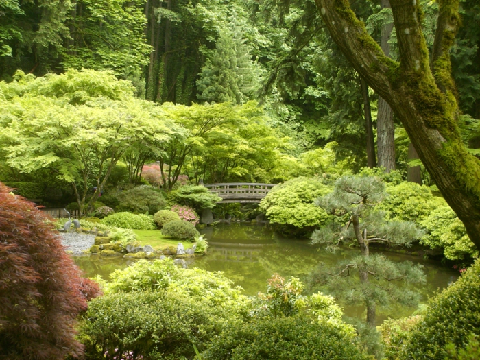 mini-jardin-zen-japonais-diy-idée-jardin-zen-japonais