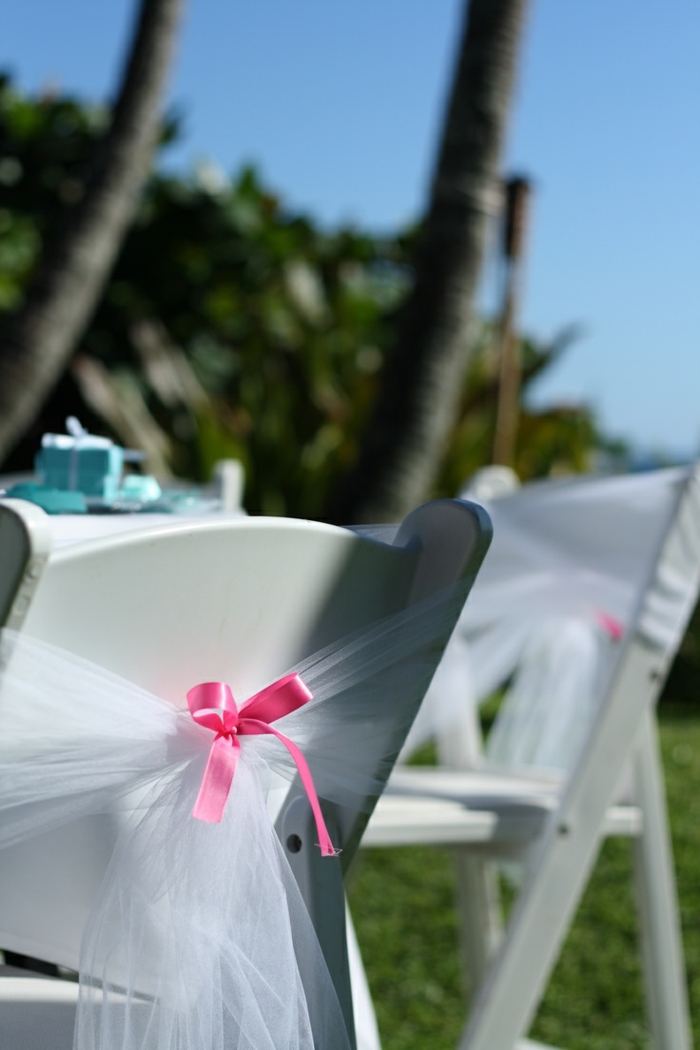 noeud-de-chaise-fantastique-en-rose-et-blanc