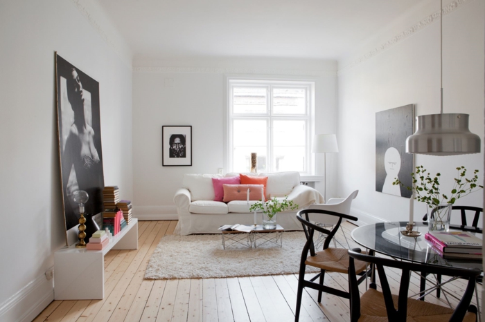 salle-de-séjour-de-couleur-taupe-meubles-scandinaves-palaiseau-design-moderne-sol-en-plancher