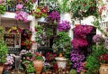 Découvrir comment avoir un balcon fleuri en 50 photos!