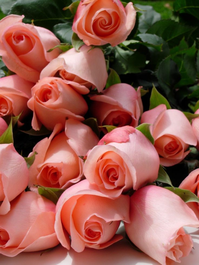 1-gros-bouquet-de-fleurs-enorme-bouquet-de-roses-magnifique-bouquet-de-fleurs-