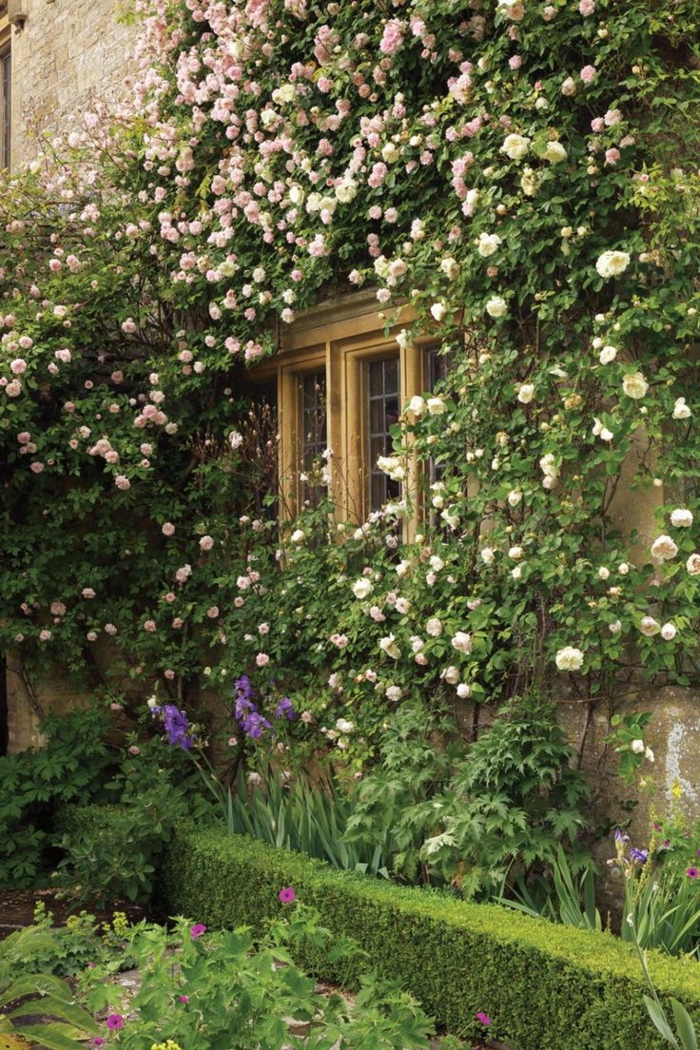 1-maison-avec-plantes-grimpantes-mur-en-fleurs-roses-blanches-décoration-extérieur-roses