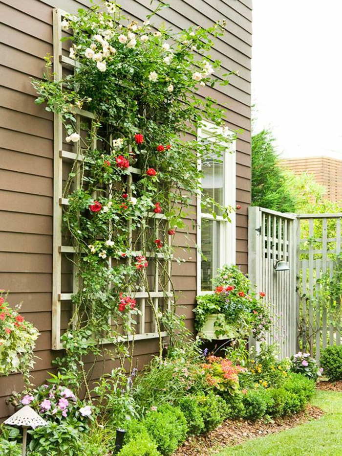 1-maison-avec-plantes-grimpantes-mur-en-planchers-en-bois-maison-extérieur-pelouse-verte-jardin