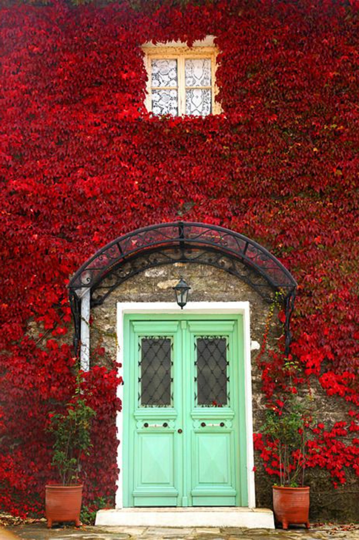 1-une-jolie-maison-avec-lierre-rouge-plante-grimpante-ombre-porte-d-entrée-en-bois-vert-bleu