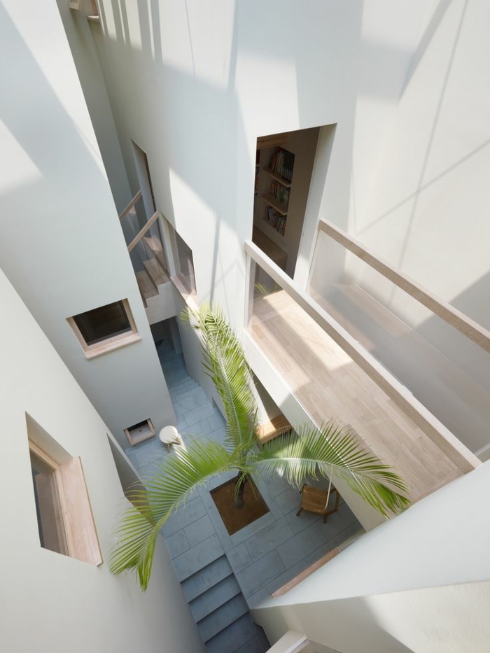 architecture-japonaise-intérieur-japonais-plante-verte-d-intérieur-vaste-couloir-murs-blancs