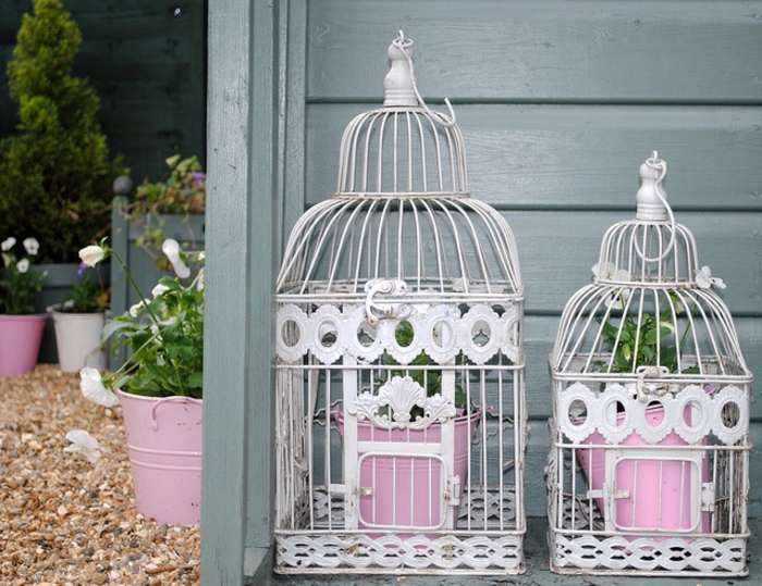 cage-à-oiseaux-décorative-deux-cages-avec-des-pots-de-fleurs