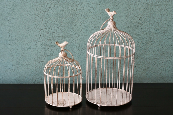 cage-à-oiseaux-décorative-deux-cages-à-oiseaux-simples