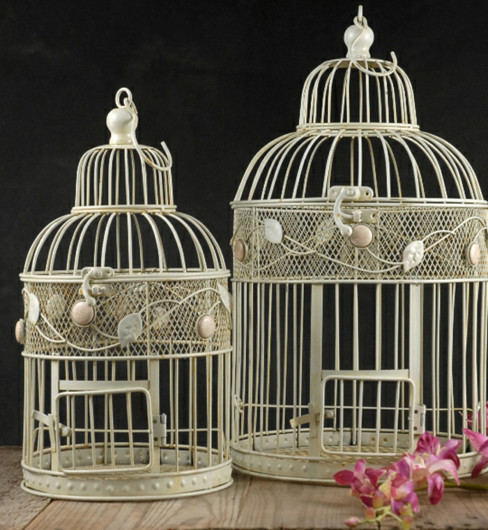 cage-à-oiseaux-décorative-jolies-cages-à-oiseaux