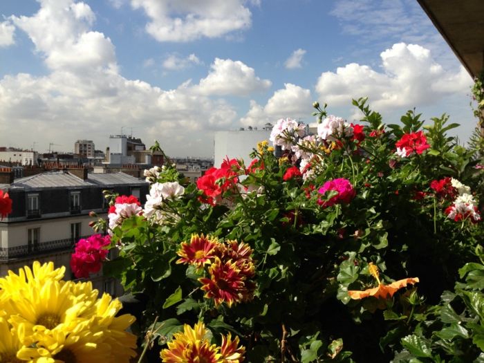 comment-fleurir-son-balcon-beaucoup-de-fleurs-idee-deco-terrasse-jardinière-balcon