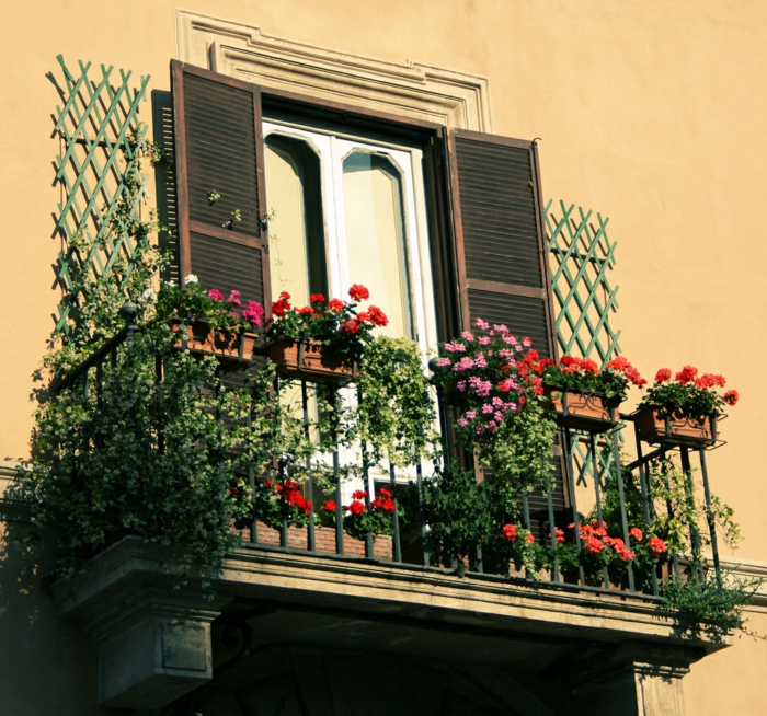 comment-fleurir-son-balcon-fleur-d-extérieur-idee-deco-terrasse