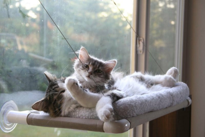 coussins-pour-chats-hamac-pour-chats-support-pour-radiateur-truc-pour-chat-hamac-pour-chat-mignon-photo