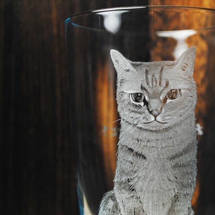 gravure-sur-verre-paris-gravure-sur-verre-dremel-idée-originale-votre-chat-image-gravée