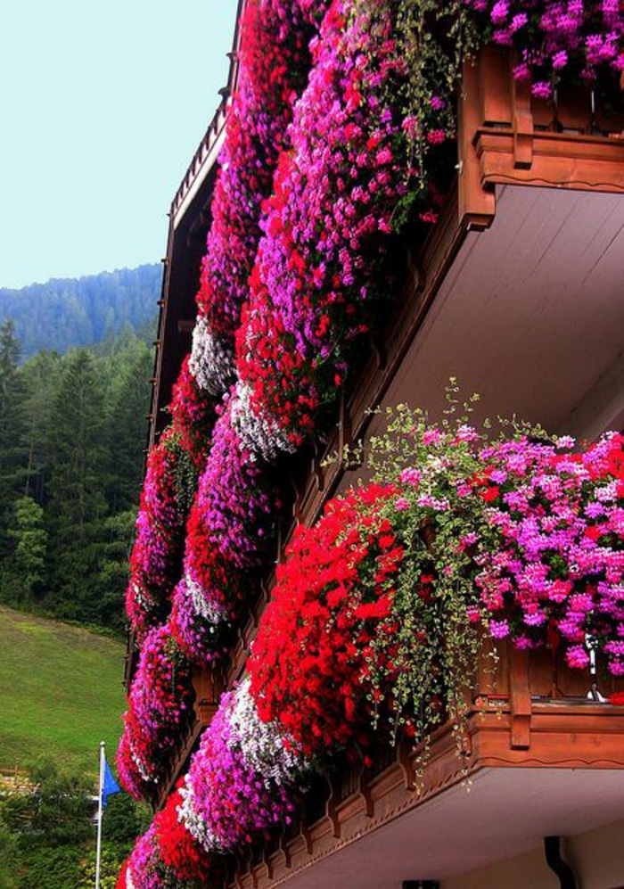 idee-amenagement-terrasse-belle-vue-fleurir-son-balcon-terrasse-avec-beaucoup-de-fleur