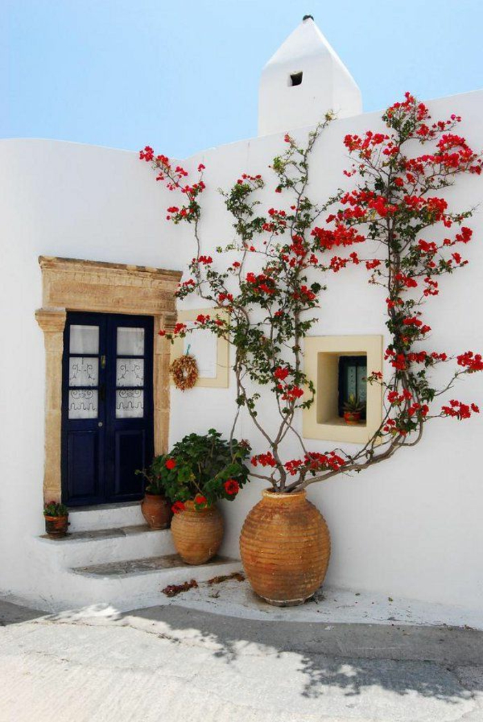 plante-grimpante-en-pot-jolie-maison-de-style-grecque-blanche-maison-porte-d-entrée