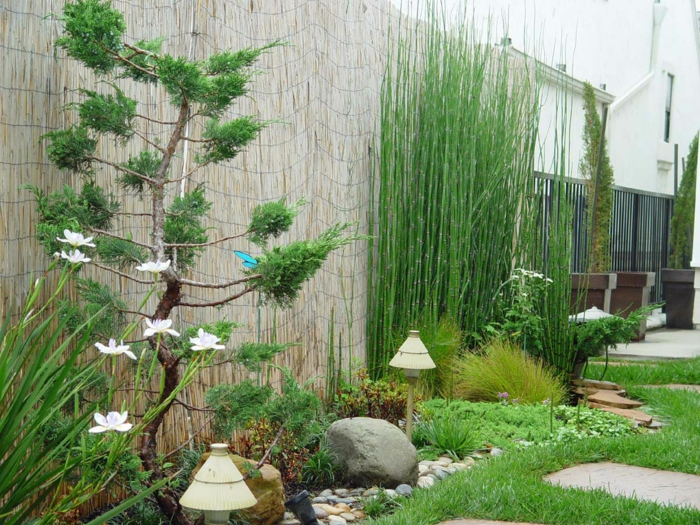 planter-des-bambous-joli-design-de-jardin-à-touche-japonaise