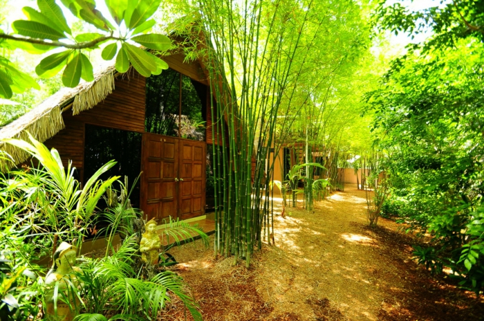 planter-des-bambous-joli-jardin-de-bambous-et-cabane-en-bois