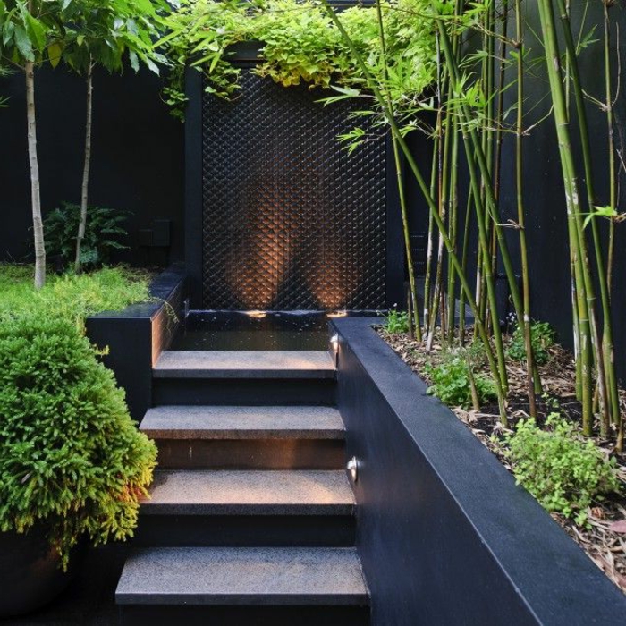 planter-des-bambous-planter-des-bambous-dans-des-jardinières-modernes
