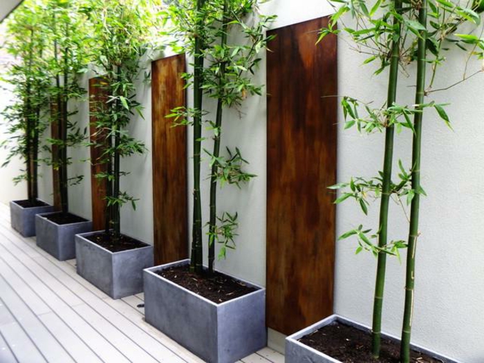 planter-des-bambous-pots-de-bambous-dans-le-jardin