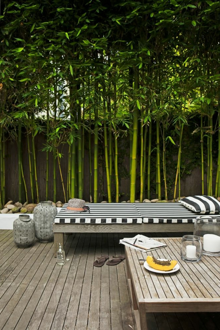 planter-des-bambous-terrasse-en-bois-extérieur