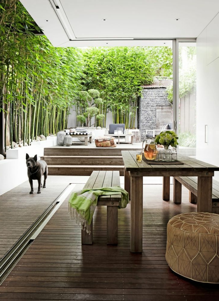 planter-des-bambous-un-patio-moderne-jardinières-bambous