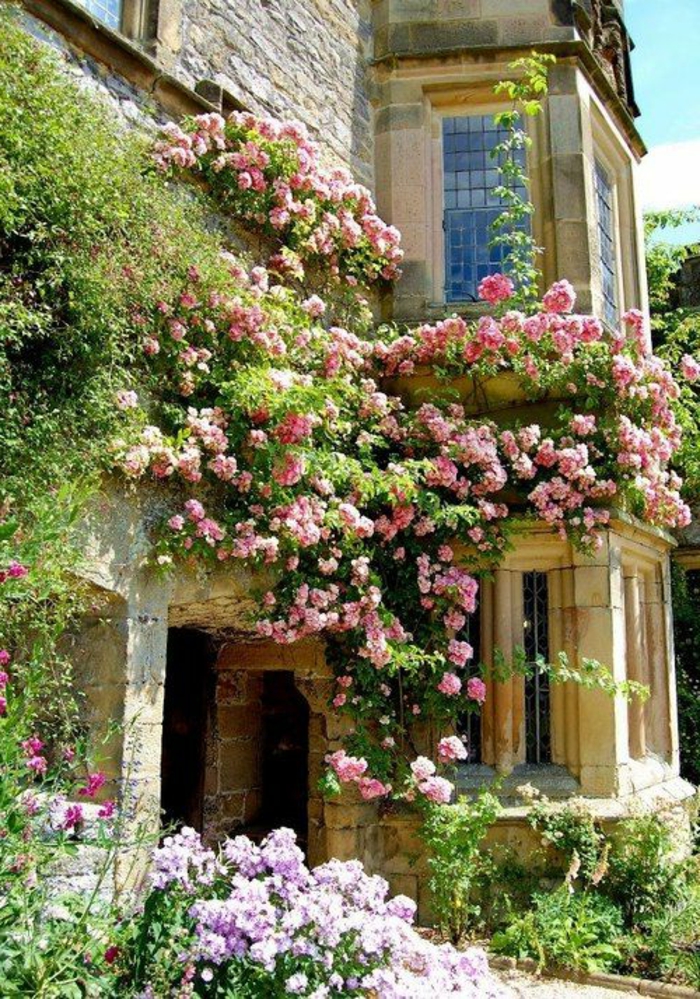 plantes-grimpantes-extérieur-maison-avec-murs-en-pierre-jardin-avec-beaucoup-de-fleurs