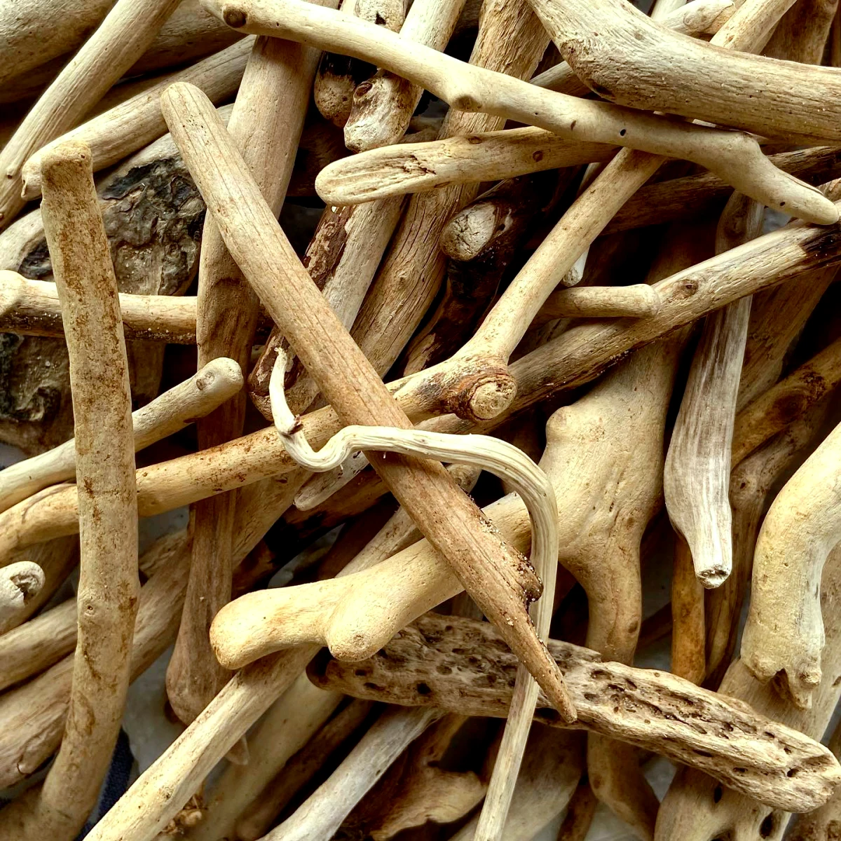 que faire avec de bois flotte trouve sur la plage