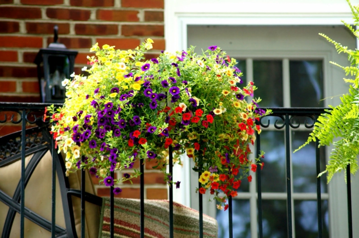 quel-type-de-fleurs-pour-la-terrasse-une-jolie-terrasse-avec-beaucoup-de-fleurs