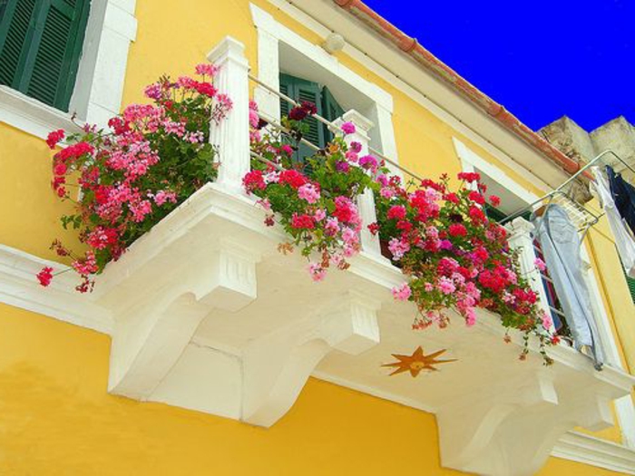 une-terrasse-avec-fleurs-un-joli-balcon-jardiière-balcon-ensoleillé-belle-vue