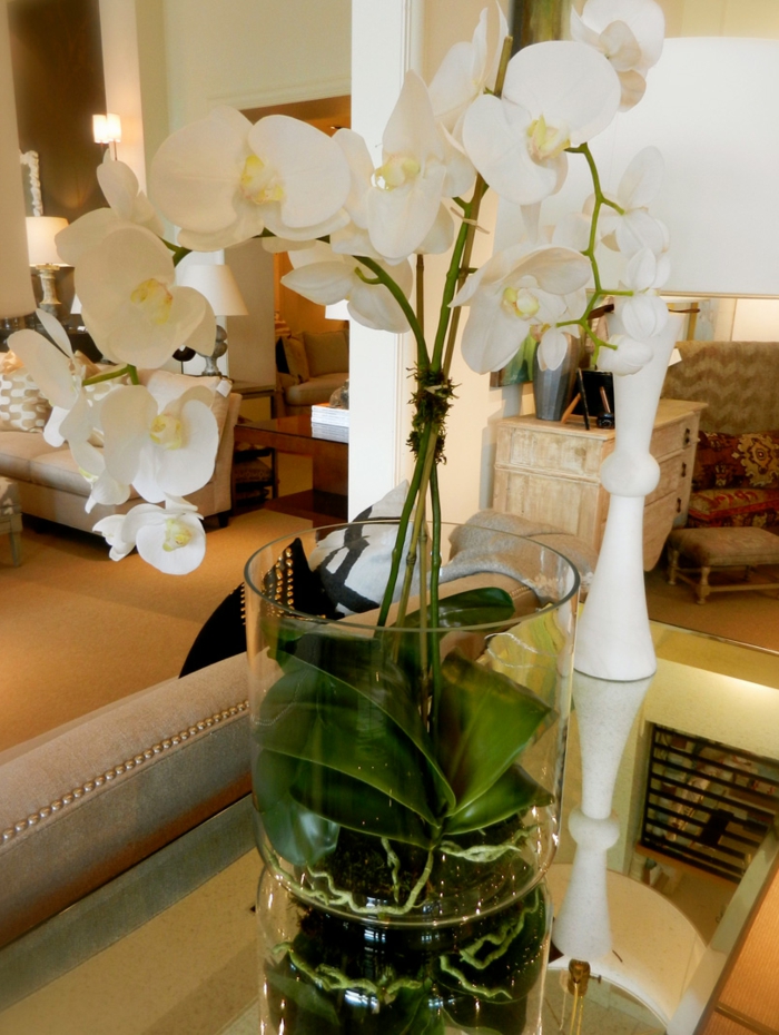 vase-ikea-baquet-vase-cylindrique-vase-en-verre-transparent-orchidée-vert-idée
