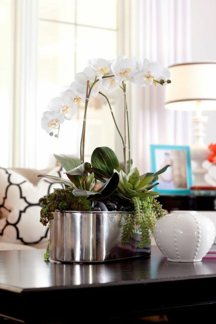1-jolie-decoration-avec-orchidées-blanches-pour-le-salon-moderne-de-style-de-luxe