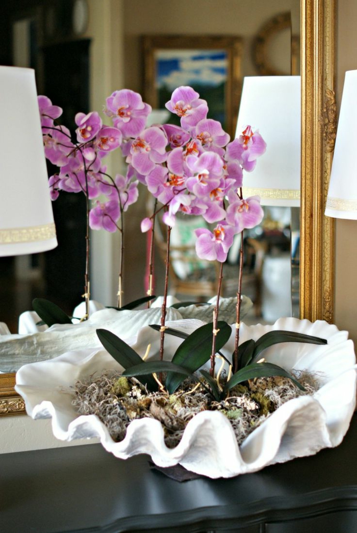 1-jolie-decoration-avec-orchidées-violets-pour-bien-decorer-l-interieur-chez-vous