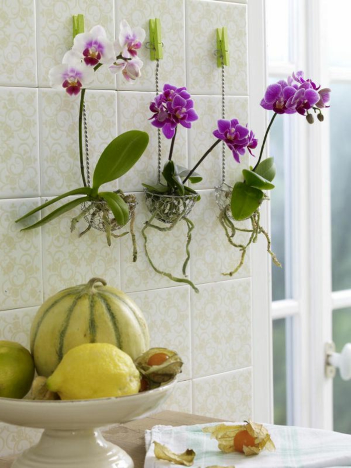 1-une-jolie-moyen-de-decoration-avec-fleurs-faire-refleurir-une-orchidée-violette