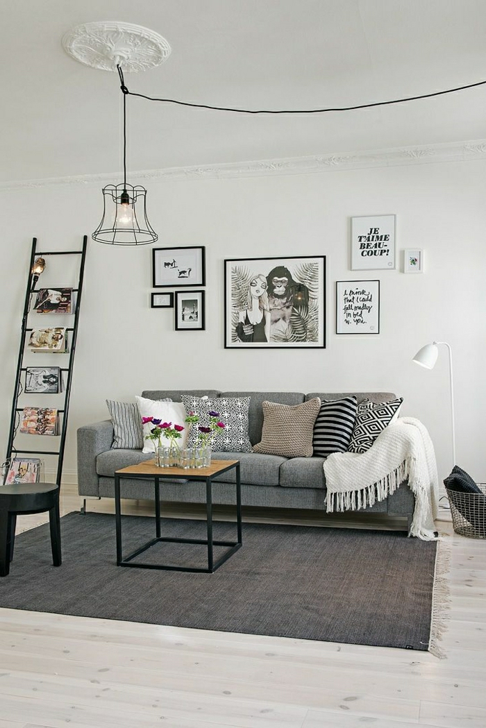 2-idee-deco-salon-sejour-avec-tapis-gris-et-parquet-en-bois-clair-et-tapis-gris