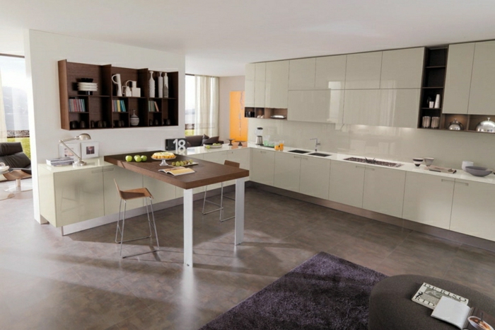 2-jolie-cuisine-laquéе-blanche-carrelage-marron-tapis-violet-plafond-blanc-meubles-de-cuisine-blanches