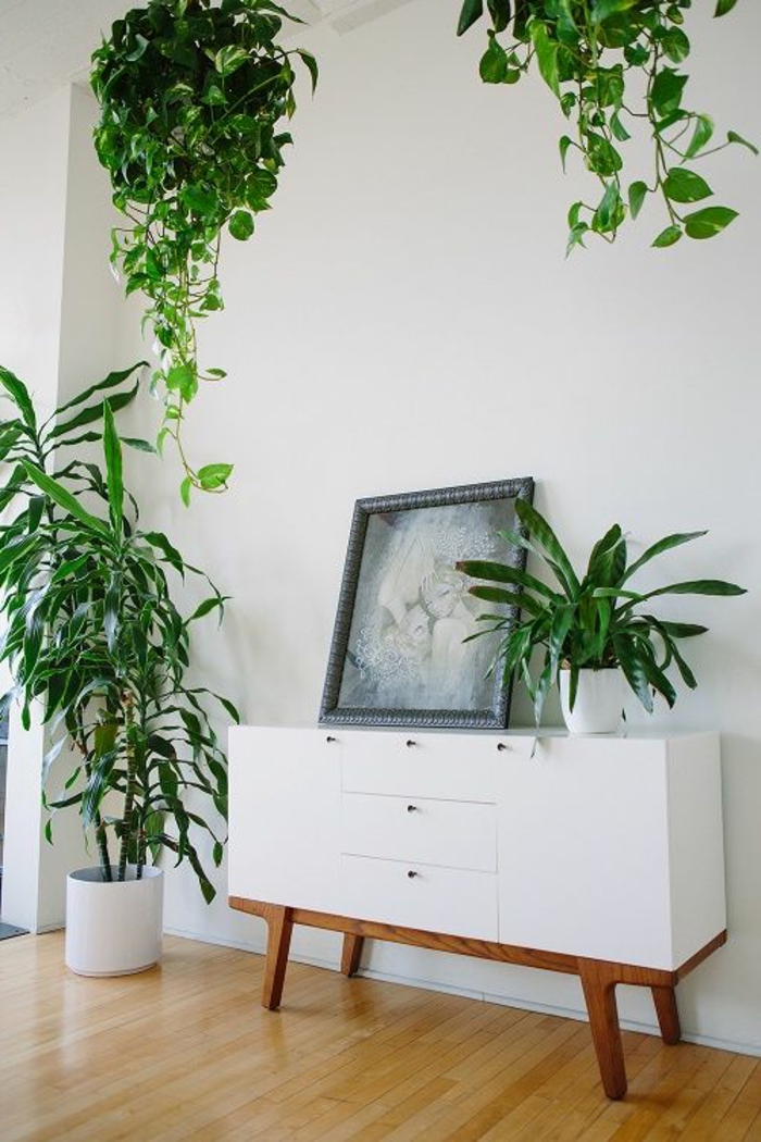 bahut-blanc-blanc-laqué-sol-en-parquette-bois-clair-plantes-vertes-d-intérieur