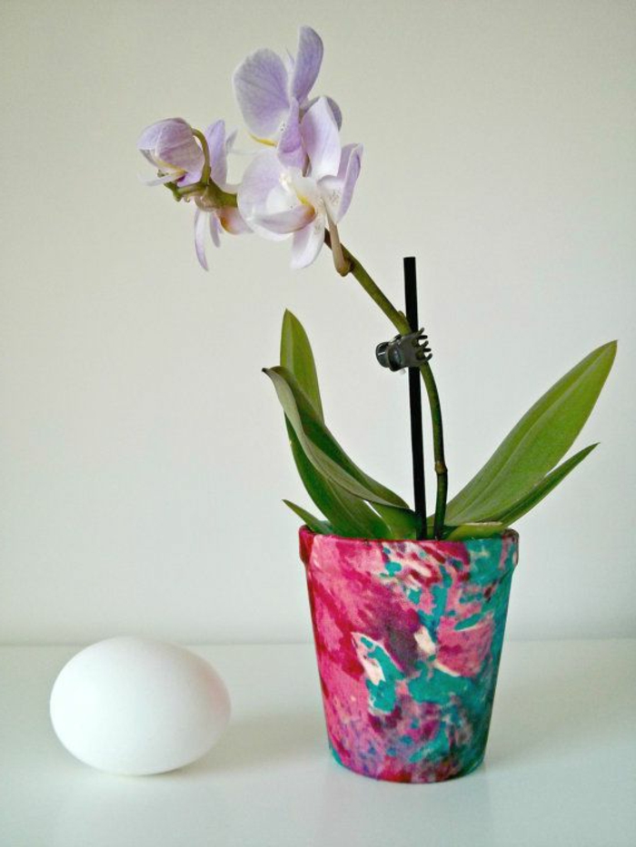 comment-bien-choisir-les-orchidees-pour-bien-decorer-le-salon-fleurs-d-intérieur