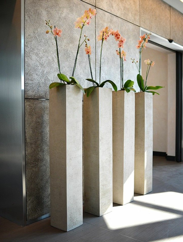 comment-entretenir-les-orchidées-dans-un-office-space-faire-refleurir-une-orchidée