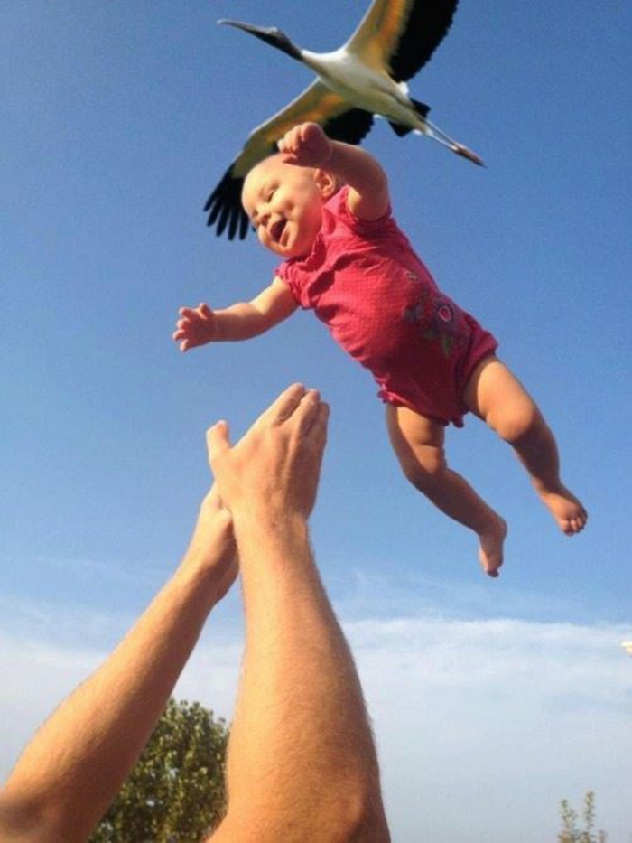 le-moment-parfait-images-drôles-animaux-et-humains-bébé-qui-vient-du-stork-resized