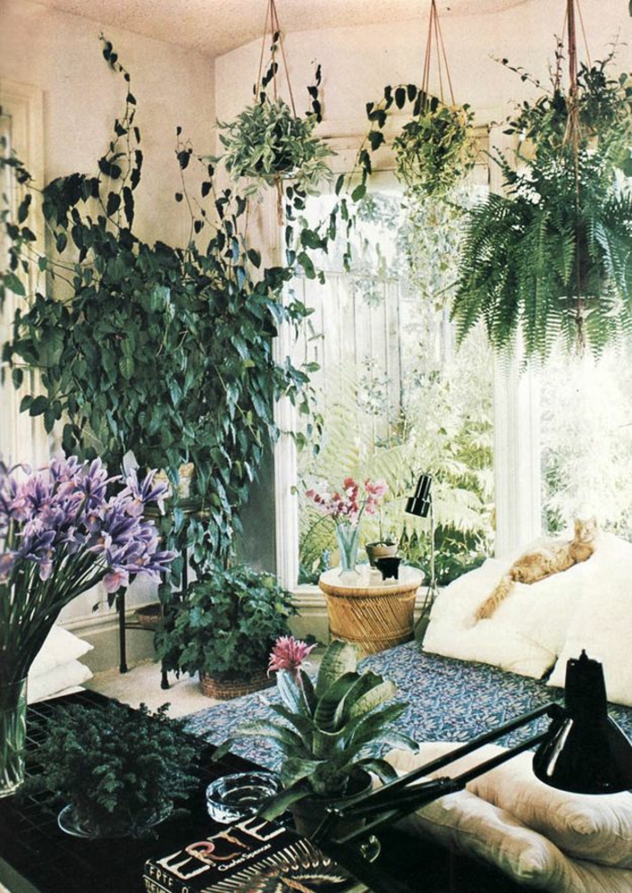 plante-d-intérieur-jardin-interieur-plante-aromatique-plantes-vertes (4)