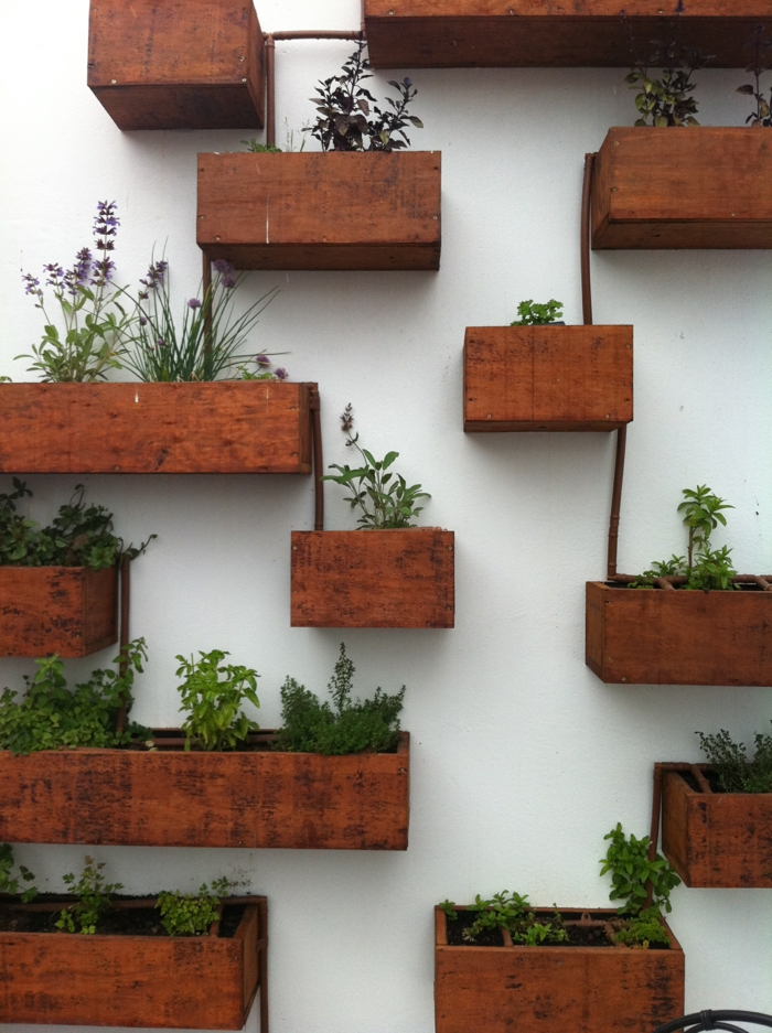 planter-du-basilic-jardin-intérieur-organization-salon-décoration-pots-sur-mur
