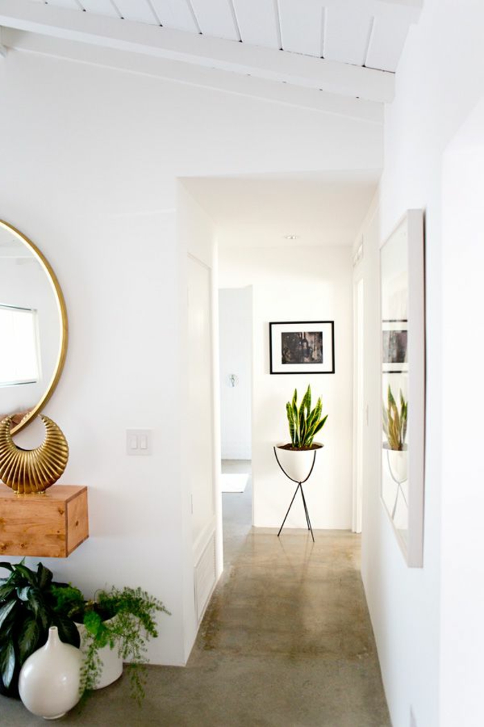 un-joli-couloir-avec-béton-ciré-plan-de-travail-murs-blancs-plante-verte-d-intérieur