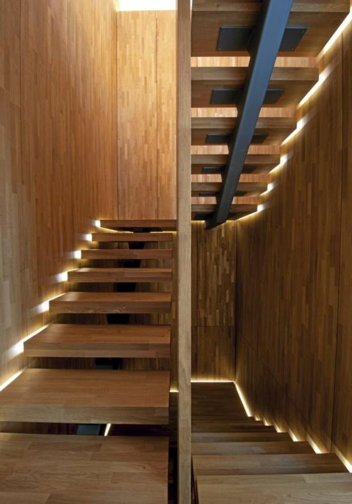 1-escalier-en-bois-foncé-pour-le-couloir-moderne-de-style-contemporain-interieur-en-bois-clair