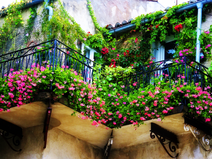 1-fleurs-de-balcon-comment-fleurir-son-balcon-avec-beaucoup-de-fleurs-colorés