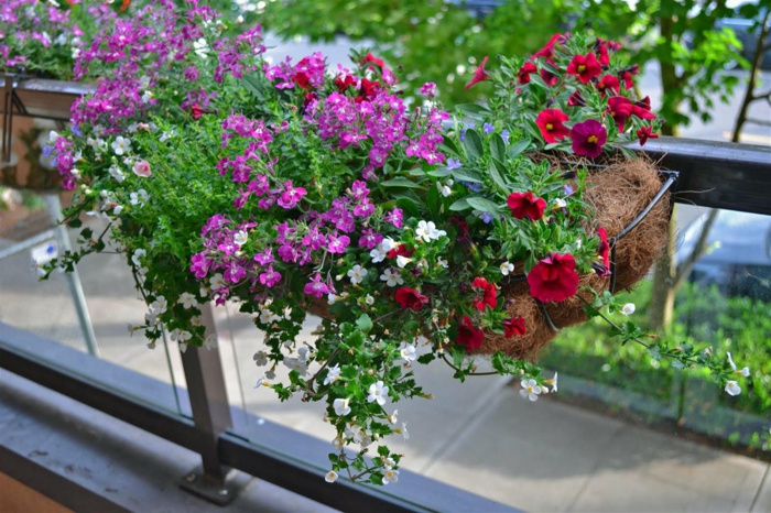 1-fleurs-de-balcon-jardiniere-balcon-avec-fleurs-colorés-pour-la-plus-belle-terrasse