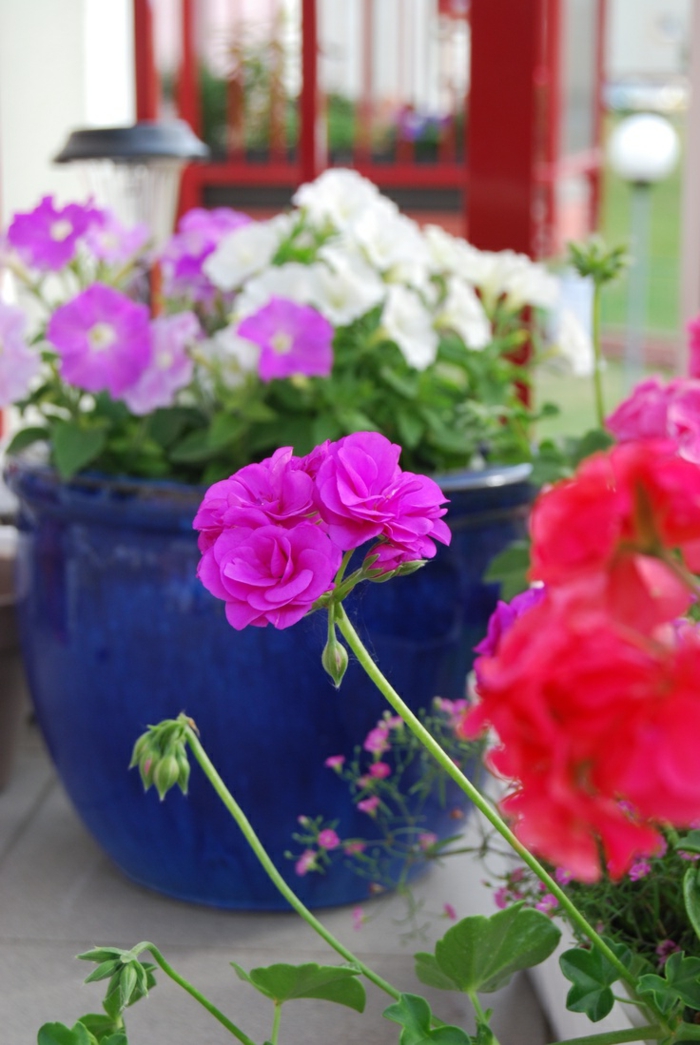 1-jardiniere-balcon-fleurs-de-balcon-colorés-comment-ameager-le-balcon-avec-fleurs