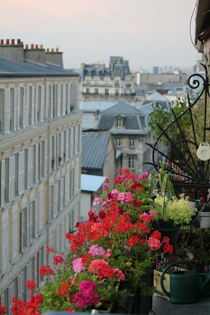 1-jardiniere-balcon-fleurs-de-balcon-rouges-et-roses-joli-balcon-avec-fleurs-joli-extérieur
