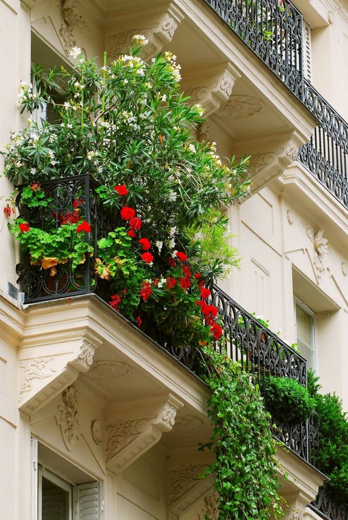 les plus beaux fleurs de balcon en 47 images