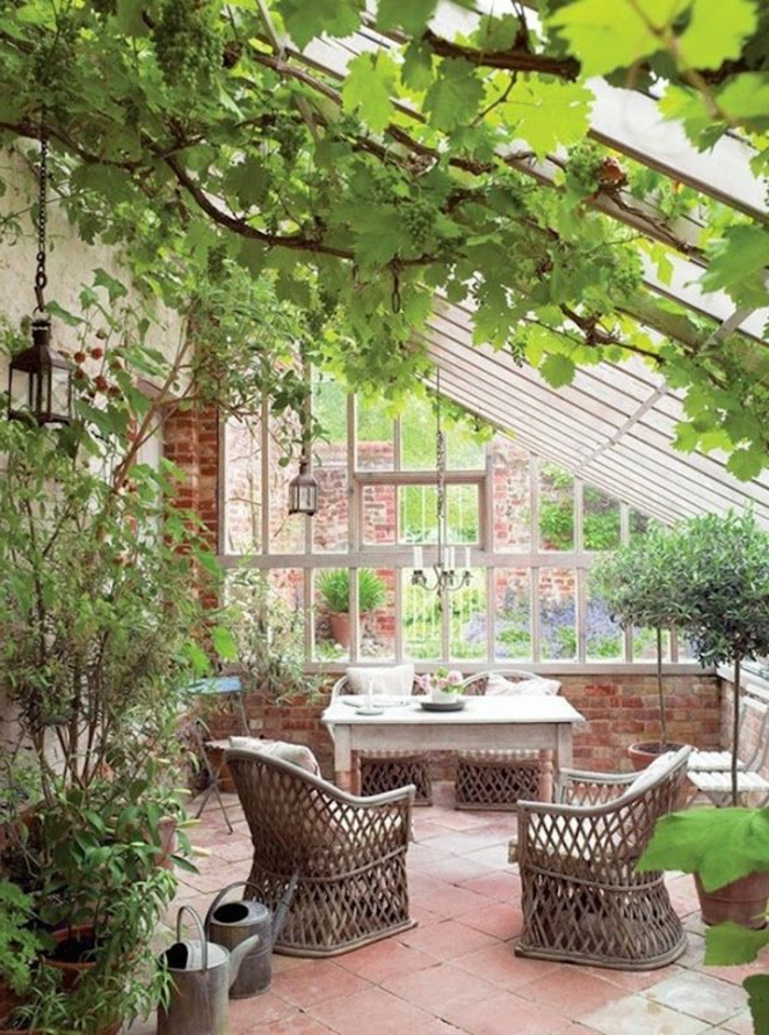 1-jolie-variante-pour-votre-véranda-en-kit-plafond-sous-pente-en-verre-et-plantes-vertes-d-interieur-pour-la-veranda