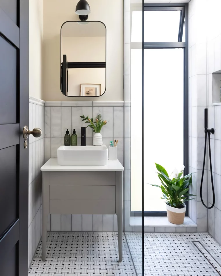amenager une petite salle de bain avec douche plante verte fenetre