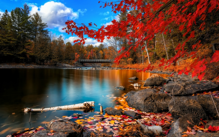 automne-paysage-nature-feuilles-automne-beauté-lac-pont